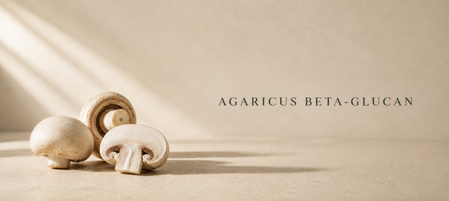 Agaricus Beta-Glucan for Skin: What the Photoaging Research Shows