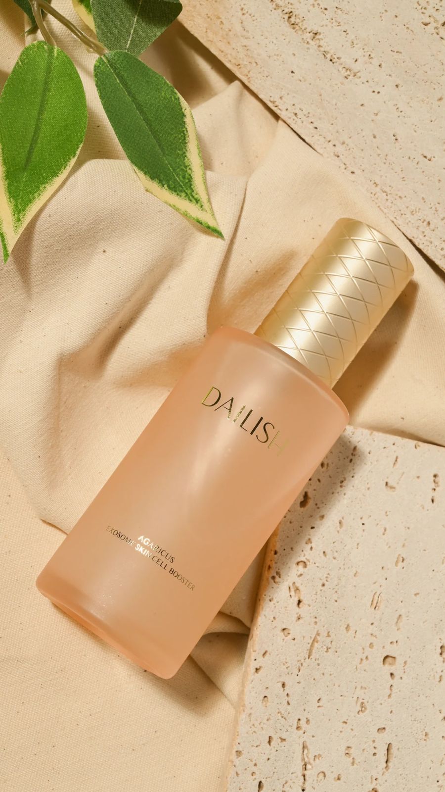 Agaricus Exosome Skincell Booster